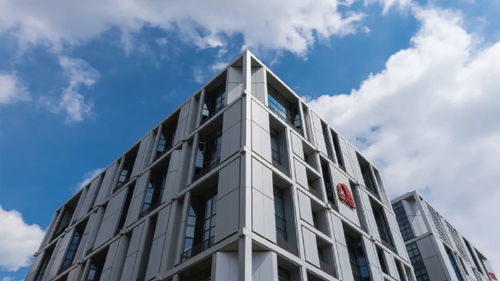 東方雨虹再度躋身2024全球建筑材料上市公司綜合實力排行榜，技術服務成核心競爭力