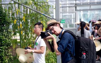 中外媒體走訪傳化集團(tuán)旗下 綠科秀