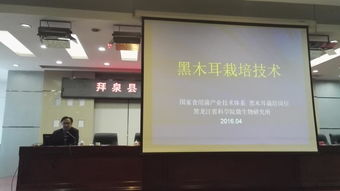 省農(nóng)業(yè)院校科技推廣服務(wù)聯(lián)盟專(zhuān)家赴拜泉縣指導(dǎo)食用菌生產(chǎn) 備春耕科技支農(nóng)活動(dòng)系列報(bào)道之二