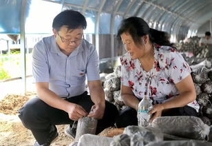 壯麗70年 奮斗新時(shí)代 濮陽(yáng) 讓鄉(xiāng)土人才 香 起來