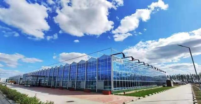 濰坊國家現代農業(yè)產業(yè)園勇當創(chuàng)新提升&ldquo;濰坊模式&rdquo;排頭兵