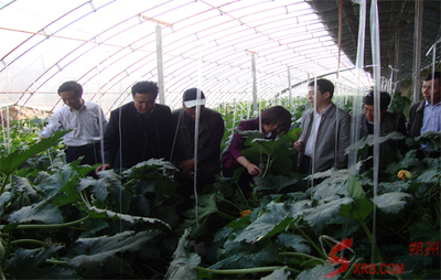 朔州科協請來專家現場指導科技服務(圖)_市直動態(tài)_朔州頻道_山西新聞網 - 主流媒體 山西門戶