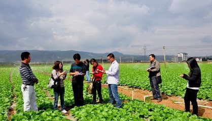 小農(nóng)戶(hù)如何生存?這5種模式推薦給你