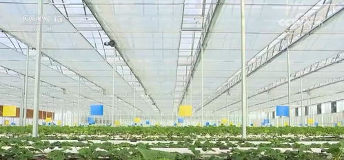 優勢互補 同向發力 農業農村部全力推進高水平農業科技自立自強