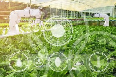 農業科技社會化服務體系建設如何加強?七部門發文部署