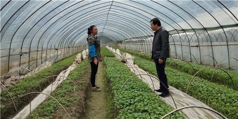 開展包村聯(lián)戶 助力農(nóng)民增收--績溪縣開展春季農(nóng)業(yè)科技服務(wù)活動(dòng)