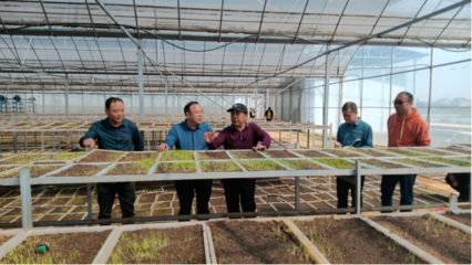 常德市| 石門縣農(nóng)業(yè)農(nóng)村局干部開展糧食生產(chǎn)大服務(wù)活動(dòng)