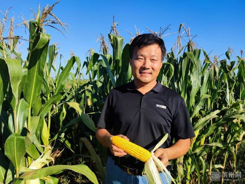 濱州國家農(nóng)業(yè)科技園區(qū)玉米新品種選育項(xiàng)目榮獲市科技進(jìn)步獎(jiǎng)一等獎(jiǎng)