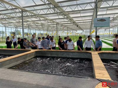 臨沂市農(nóng)科院深化科技服務(wù)走進(jìn)山里王田園綜合體