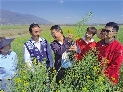 中國(guó)農(nóng)業(yè)大學(xué)2009年探索成立科技小院,培養(yǎng)農(nóng)業(yè)高層次人才,服務(wù)農(nóng)業(yè)農(nóng)村現(xiàn)代化建設(shè) 中國(guó)農(nóng)大已在全國(guó)建立139個(gè)科技小院