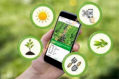 加快數字化發展的四個維度