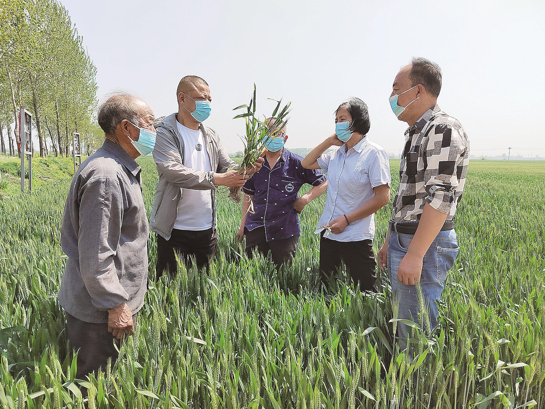 惠農科技 助農增收