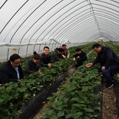 田家庵區(qū)科技特派員對(duì)接農(nóng)業(yè)基地