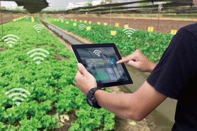 麥麥科技獲數(shù)千萬(wàn)元天使輪融資 發(fā)展ToB端智慧農(nóng)業(yè)科技服務(wù)平臺(tái)