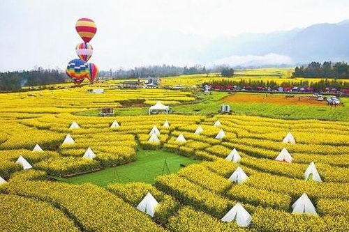 政策 國(guó)家發(fā)力農(nóng)業(yè)服務(wù)創(chuàng)新 溫氏 樓房養(yǎng)豬仍處于試驗(yàn)階段