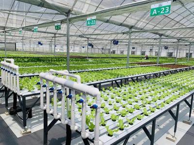 補貼上百萬!數字農業工廠:智能化、自動化的農業生產新模式