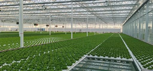 在這里能看到未來農(nóng)業(yè)的&ldquo;模樣&rdquo;