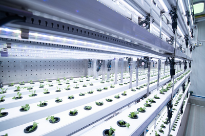 拼多多發(fā)布Q3財報,全面加速高質量發(fā)展,繼續(xù)加碼農(nóng)研科技