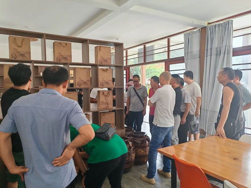 德宏州茶技站開展茶葉科技培訓，助力農(nóng)業(yè)科技服務(wù)